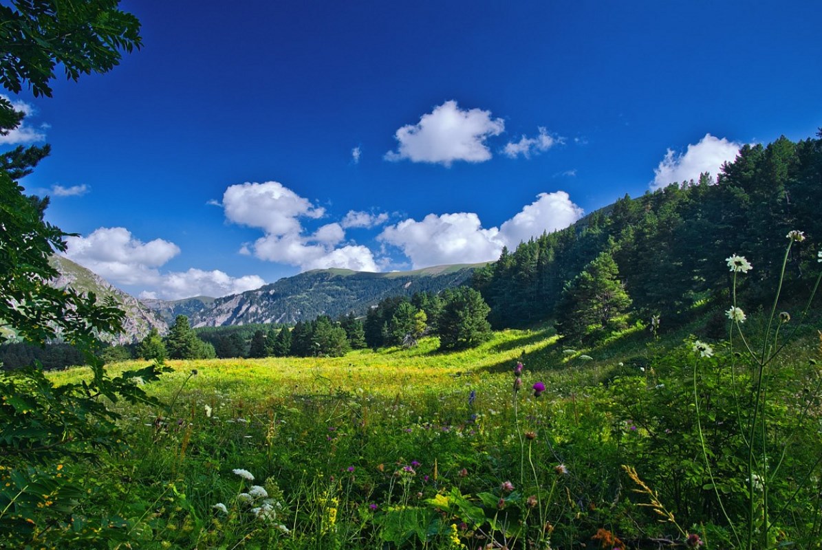 Крымское Краснодарский Край Фото